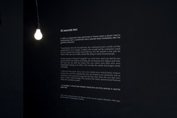 Installation photo, 20 of 37