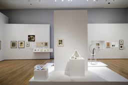 Installation photo, 64 of 87