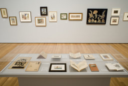 Installation photo, 84 of 87