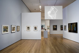Installation photo, 5 of 87