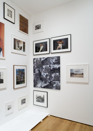 Installation photo, 7 of 35