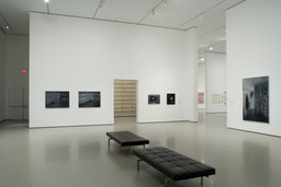 Out of Time: A Contemporary View. Aug 30, 2006–Apr 9, 2007. 2 other works identified