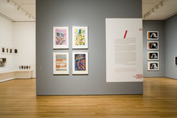 Installation photo, 2 of 74