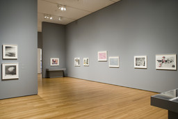 Installation photo, 7 of 74