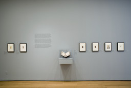 Installation photo, 10 of 22