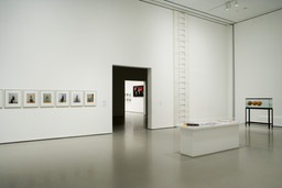 Out of Time: A Contemporary View. Aug 30, 2006–Apr 9, 2007. 8 other works identified