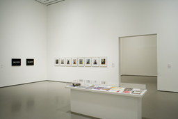 Installation photo, 8 of 30