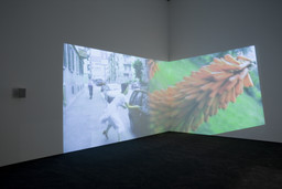 Installation photo, 10 of 30