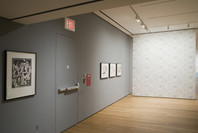 Eye on Europe: Prints, Books &amp; Multiples/1960 to Now. Oct 15, 2006–Jan 1, 2007. 3 other works identified