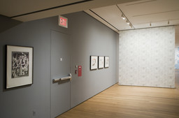Installation photo, 50 of 74