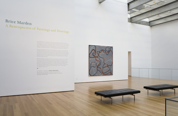 アート・デザイン・音楽 PLANE IMAGE A BRICE MARDEN RETROSPECTIVE Plane Image: A Brice Marden Retrospective | Gary Garrels