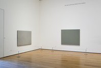 Brice Marden: A Retrospective of Paintings and Drawings. Oct 29, 2006–Jan 15, 2007. 1 other work identified