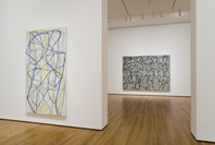 Brice Marden: A Retrospective of Paintings and Drawings. Oct 29, 2006–Jan 15, 2007.