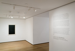 Installation photo, 46 of 57