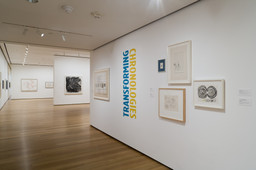 Installation photo, 3 of 16