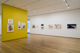 Installation photo, 14 of 16