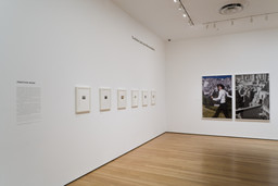 Installation photo, 6 of 23