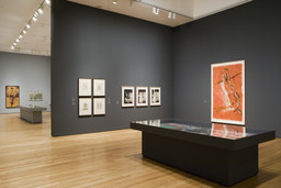 Installation photo, 36 of 74