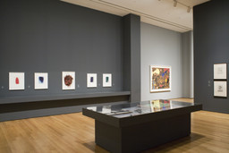 Installation photo, 37 of 74