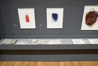 Eye on Europe: Prints, Books &amp; Multiples/1960 to Now. Oct 15, 2006–Jan 1, 2007. 1 other work identified