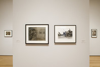 Photography Collection: Rotation 4. Dec 15, 2006–Jul 16, 2007. 1 other work identified