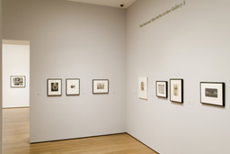 Installation photo, 10 of 29