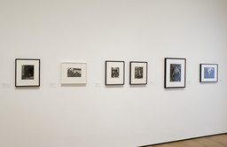Installation photo, 12 of 29
