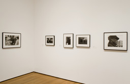 Installation photo, 16 of 29