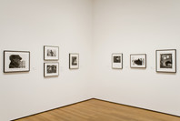 Photography Collection: Rotation 4. Dec 15, 2006–Jul 16, 2007. 5 other works identified