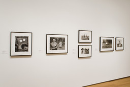 Installation photo, 18 of 29