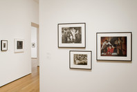 Photography Collection: Rotation 4. Dec 15, 2006–Jul 16, 2007. 3 other works identified