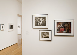 Installation photo, 20 of 29