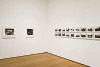 Photography Collection: Rotation 4. Dec 15, 2006–Jul 16, 2007. 1 other work identified