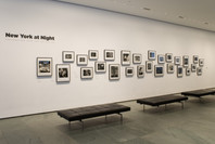 New York at Night: Photographs from the Collection. Dec 12, 2006–Mar 5, 2007. 14 other works identified