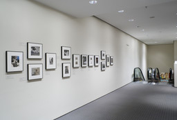 Installation photo, 7 of 18