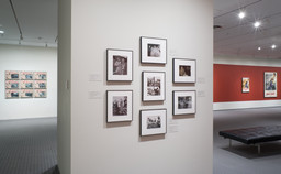 Installation photo, 16 of 18