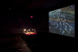 Installation photo, 9 of 12