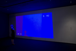 Installation photo, 10 of 12