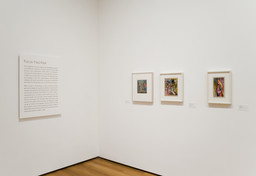 Installation photo, 1 of 8