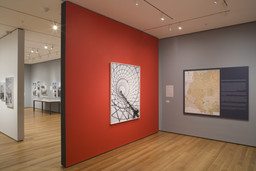 Installation photo, 3 of 20