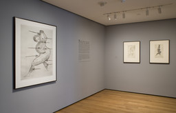 Installation photo, 2 of 17