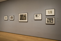 Installation photo, 5 of 17