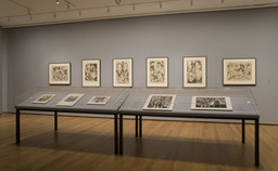 Installation photo, 6 of 17