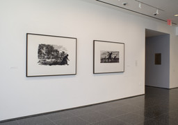 Installation photo, 16 of 17