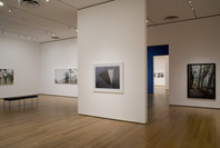 Present Tense: Photographs by JoAnn Verburg. Jul 15–Nov 5, 2007.