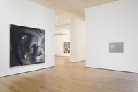 What Is Painting? Contemporary Art from the Collection. Jul 7–Sep 17, 2007.