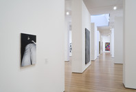 What Is Painting? Contemporary Art from the Collection. Jul 7–Sep 17, 2007.