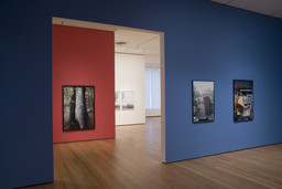 Installation photo, 6 of 25