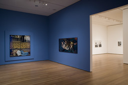 Installation photo, 7 of 25