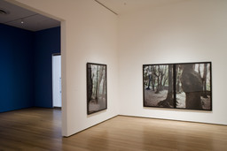 Installation photo, 8 of 25